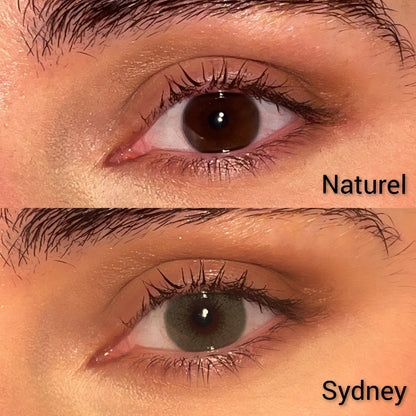 Lentilles annuelles | Sydney