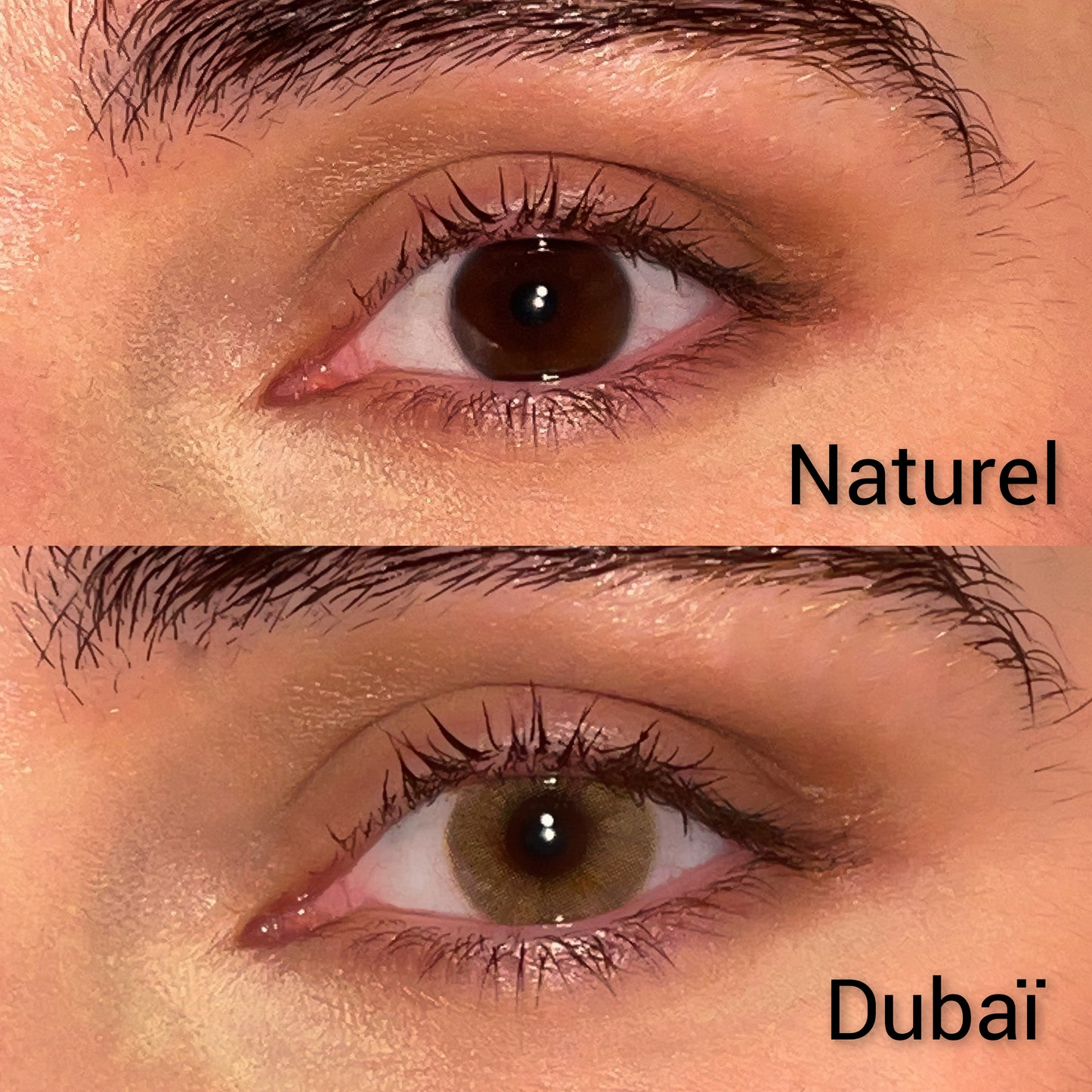 Lentilles annuelles | Dubaï