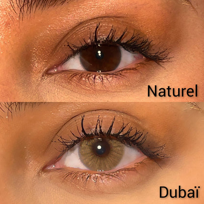 Lentilles annuelles | Dubaï