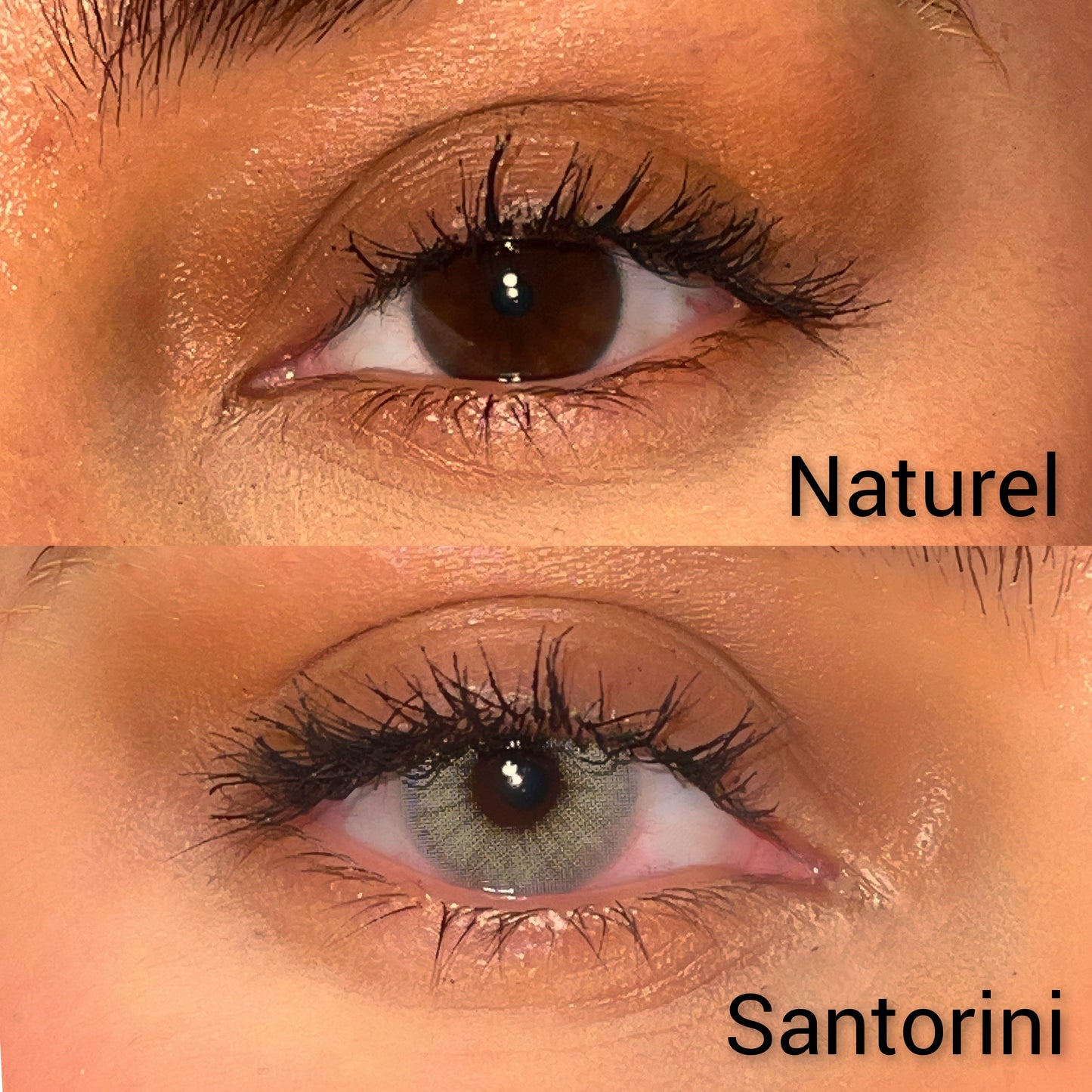 Lentilles annuelles | Santorini