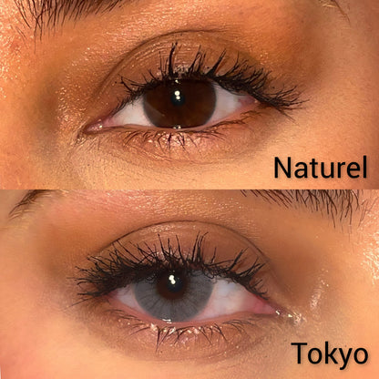 Lentilles annuelles | Tokyo