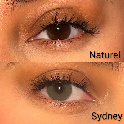 Lentilles annuelles | Sydney