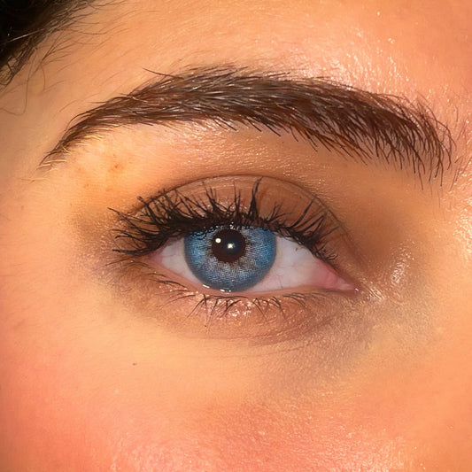 Lentilles annuelles | Miami