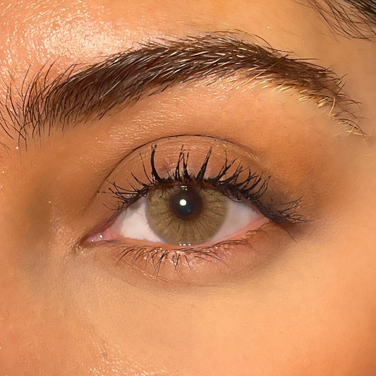 Lentilles annuelles | Dubaï