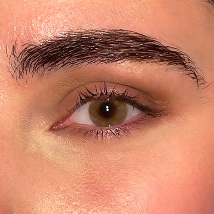 Lentilles annuelles | Dubaï