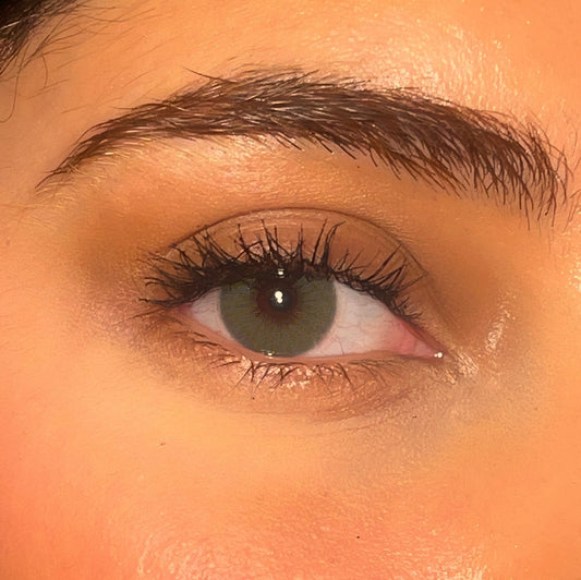 Lentilles annuelles | Sydney