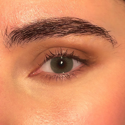 Lentilles annuelles | Sydney