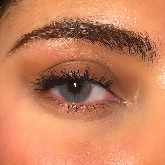 Lentilles annuelles | Tokyo